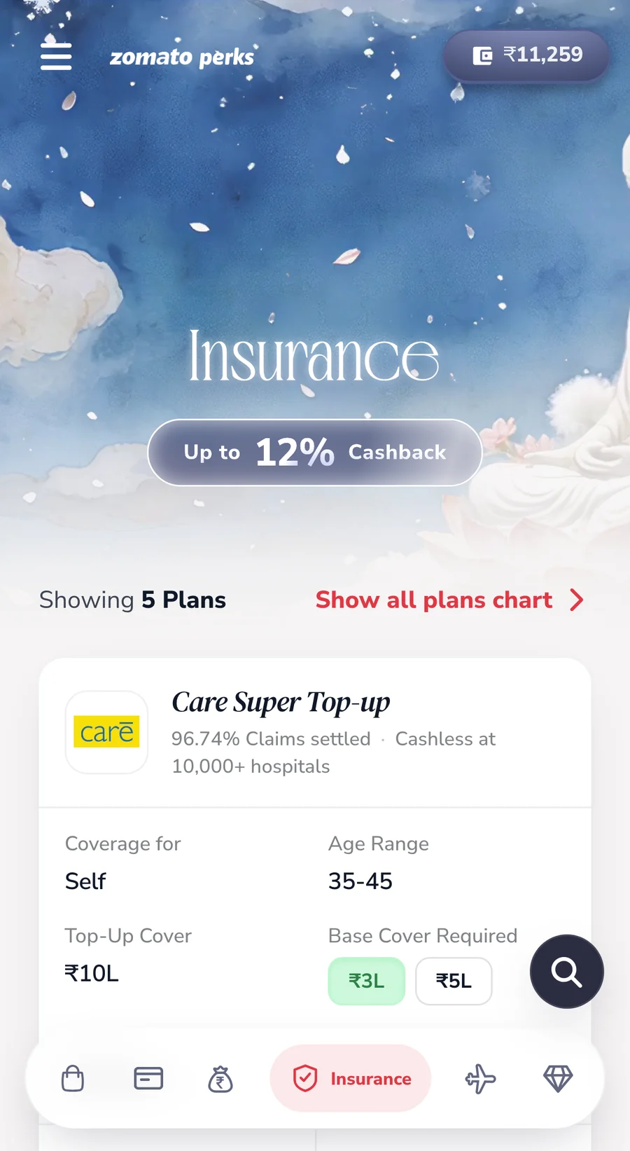 Insurance on a phone: cover chips and insurer plan cards